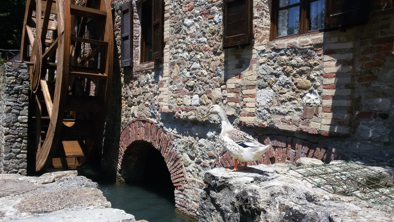Agriturismo Il Mulino Delle Pile Chiusdino Dış mekan fotoğraf