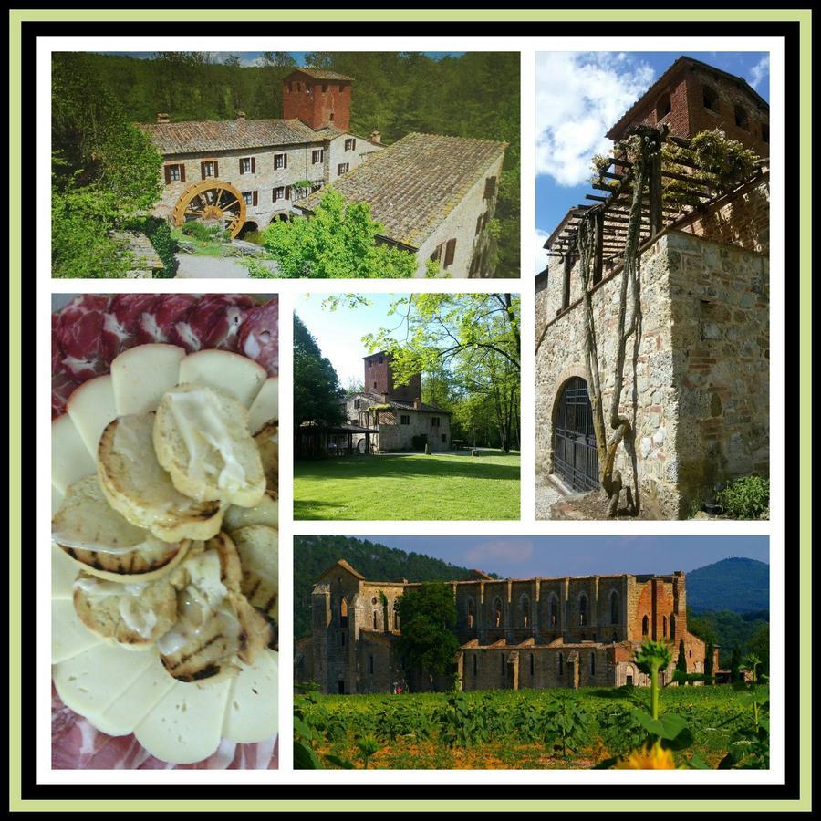 Agriturismo Il Mulino Delle Pile Chiusdino Dış mekan fotoğraf