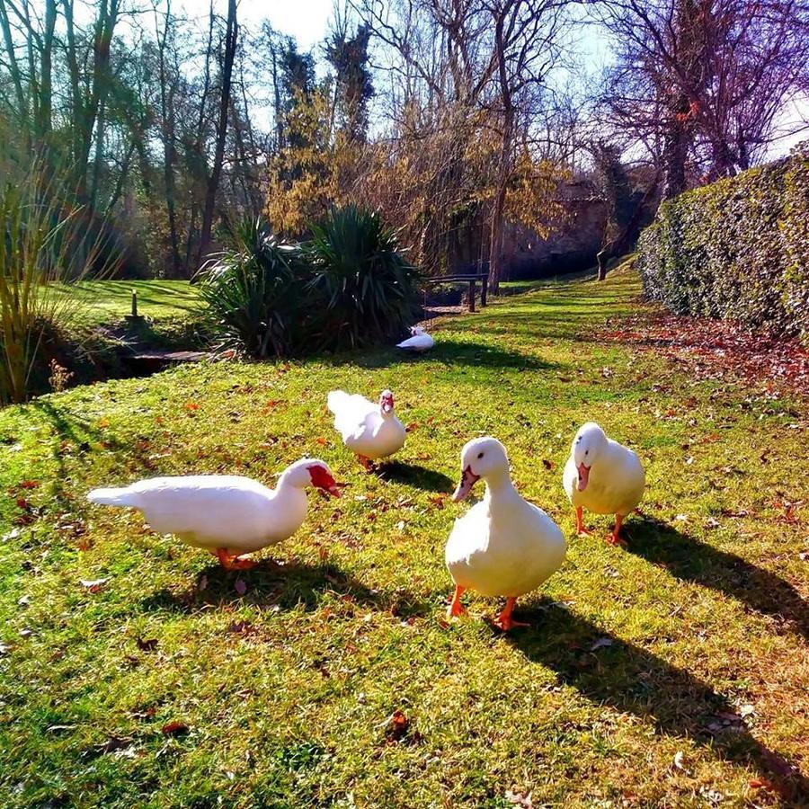 Agriturismo Il Mulino Delle Pile Chiusdino Dış mekan fotoğraf