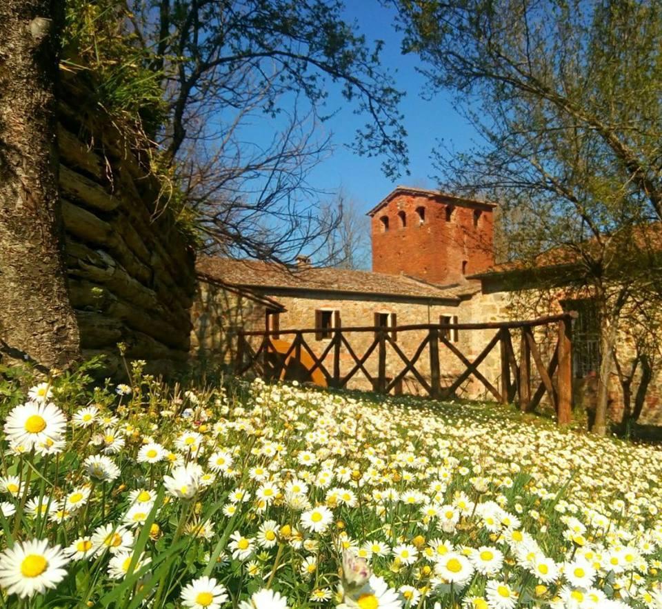 Agriturismo Il Mulino Delle Pile Chiusdino Dış mekan fotoğraf