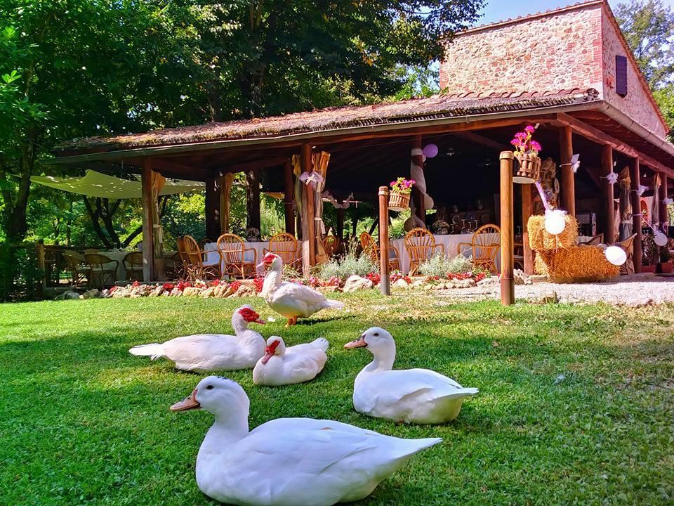 Agriturismo Il Mulino Delle Pile Chiusdino Dış mekan fotoğraf